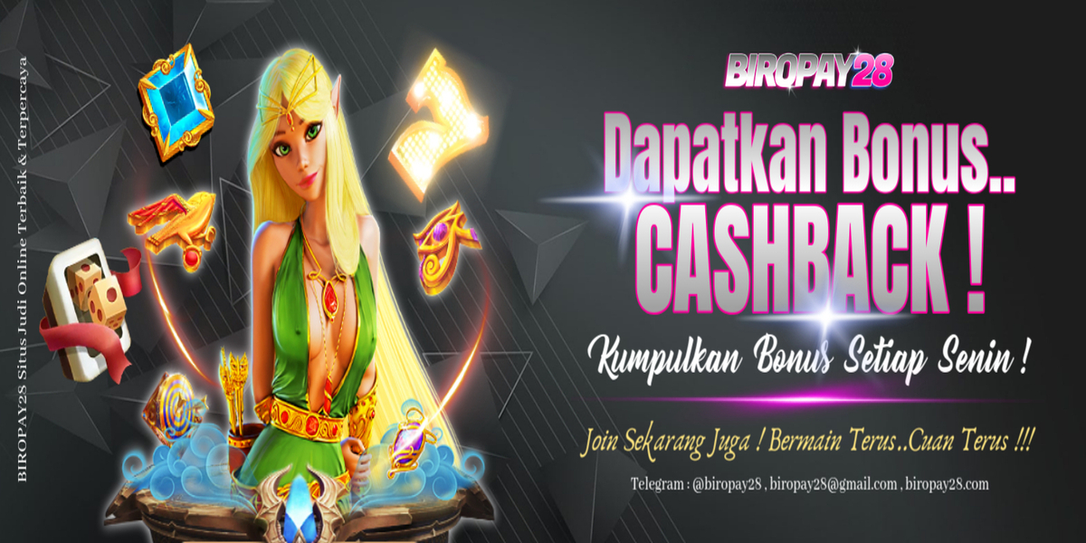 biropay28